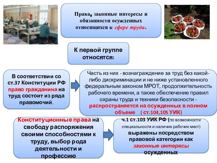 Права, законные интересы и обязанности осужденных относящихся к сфере труда. В соответствии