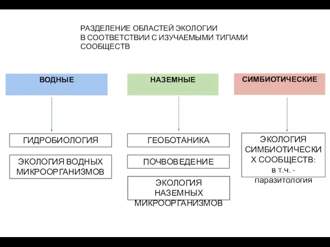 РАЗДЕЛЕНИЕ ОБЛАСТЕЙ ЭКОЛОГИИ В СООТВЕТСТВИИ С ИЗУЧАЕМЫМИ ТИПАМИ СООБЩЕСТВ ВОДНЫЕ НАЗЕМНЫЕ СИМБИОТИЧЕСКИЕ