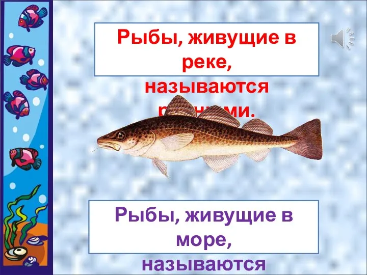 Рыбы, живущие в реке, называются речными. Рыбы, живущие в море, называются морскими.
