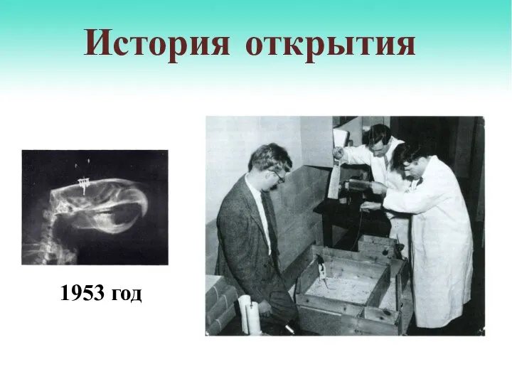 1953 год История открытия