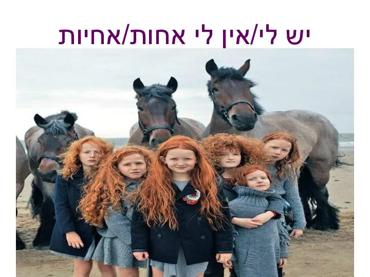 יש לי/אין לי אחות/אחיות