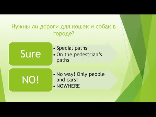 Нужны ли дороги для кошек и собак в городе?