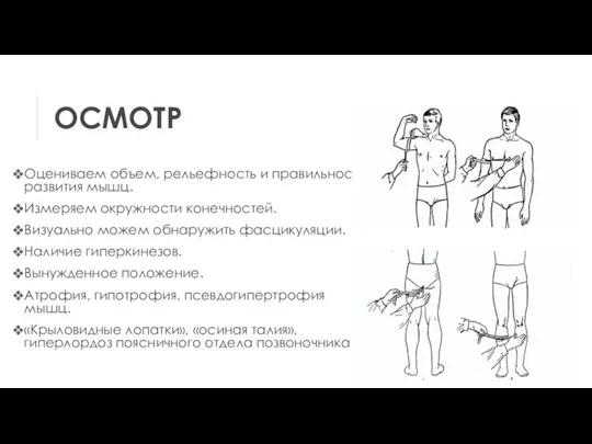 ОСМОТР Оцениваем объем, рельефность и правильность развития мышц. Измеряем окружности конечностей. Визуально