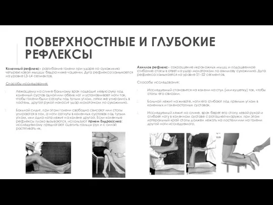 ПОВЕРХНОСТНЫЕ И ГЛУБОКИЕ РЕФЛЕКСЫ Коленный рефлекс- разгибание голени при ударе по сухожилию