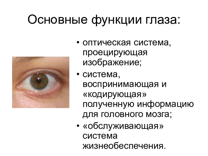 Основные функции глаза: оптическая система, проецирующая изображение; система, воспринимающая и «кодирующая» полученную