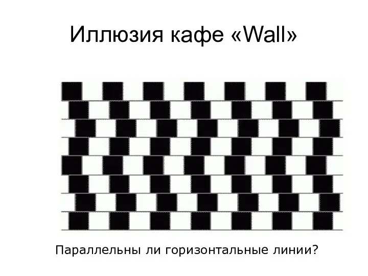 Иллюзия кафе «Wall» Параллельны ли горизонтальные линии?