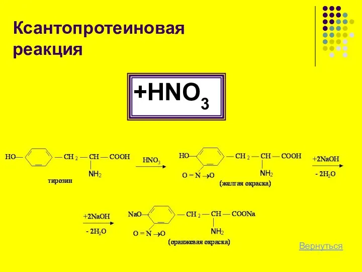 Ксантопротеиновая реакция +HNO3 Вернуться