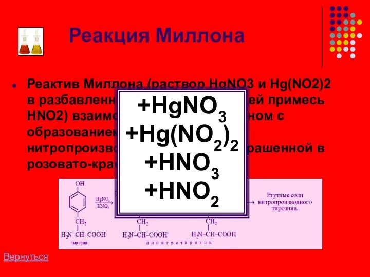 Реакция Миллона Реактив Миллона (раствор HgNO3 и Hg(NO2)2 в разбавленной HNO3, содержащей