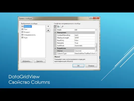 DataGridView Свойство Columns
