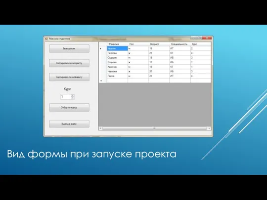 Вид формы при запуске проекта