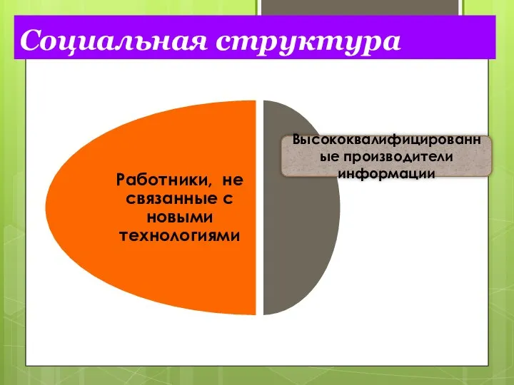 Социальная структура Высококвалифицированные производители информации