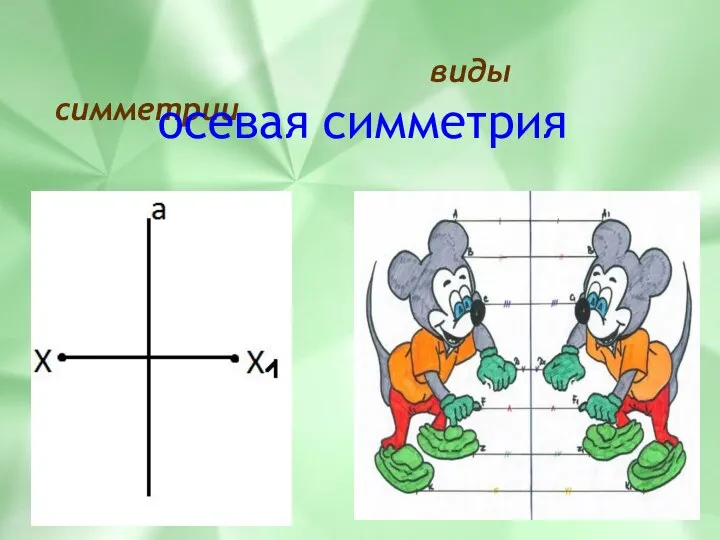 виды симметрии осевая симметрия