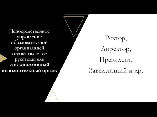 Непосредственное управление образовательной организацией осуществляет ее руководитель как единоличный исполнительный орган: Ректор,