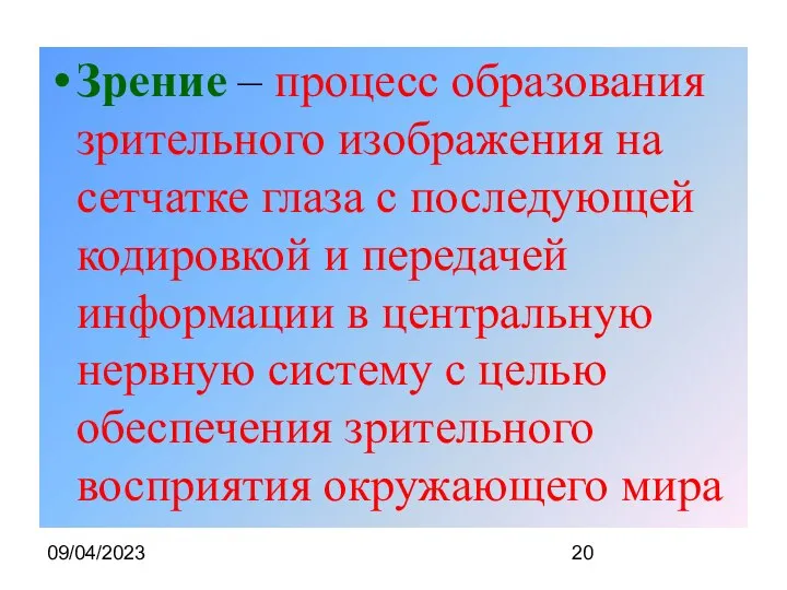 09/04/2023 Зрение – процесс образования зрительного изображения на сетчатке глаза с последующей