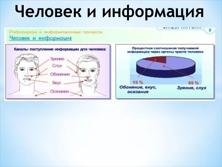 Человек и информация