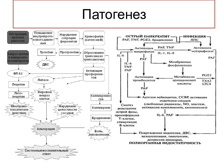 Патогенез