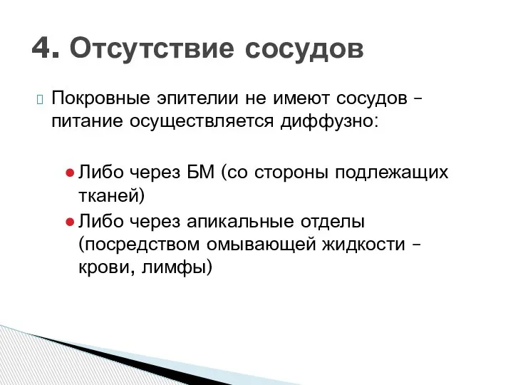 Покровные эпителии не имеют сосудов – питание осуществляется диффузно: Либо через БМ