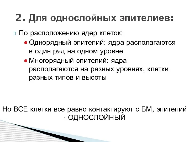 По расположению ядер клеток: Однорядный эпителий: ядра располагаются в один ряд на