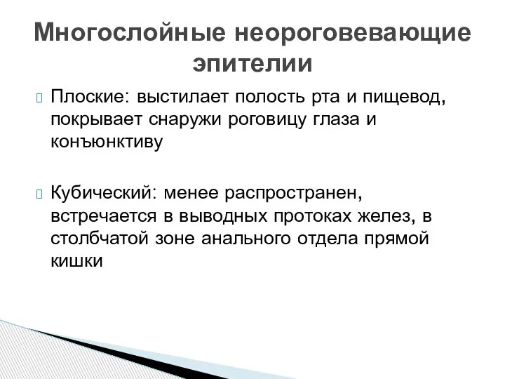 Плоские: выстилает полость рта и пищевод, покрывает снаружи роговицу глаза и конъюнктиву