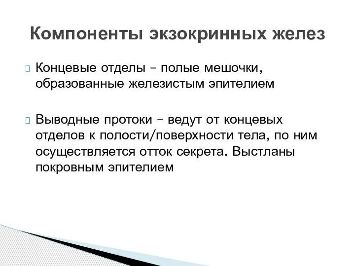 Концевые отделы – полые мешочки, образованные железистым эпителием Выводные протоки – ведут