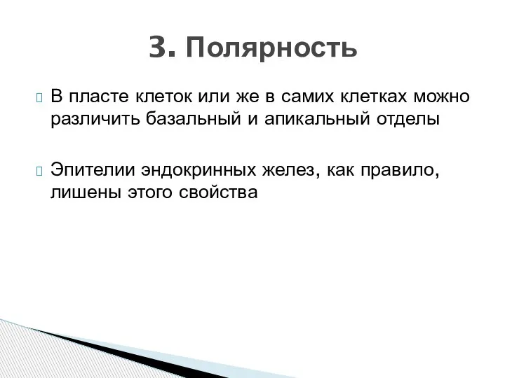 В пласте клеток или же в самих клетках можно различить базальный и