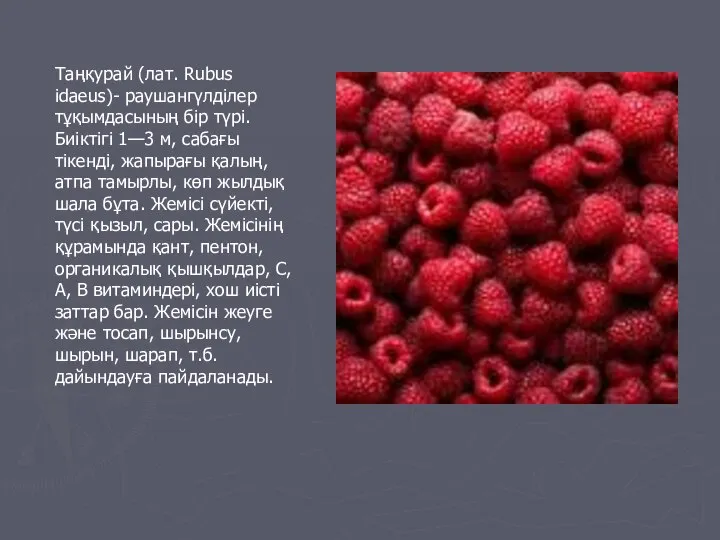Таңқурай (лат. Rubus idaeus)- раушангүлділер тұқымдасының бір түрі. Биіктігі 1—3 м, сабағы