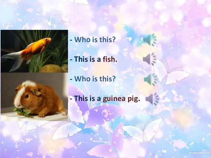 - Who is this? - This is a fish. - Who is