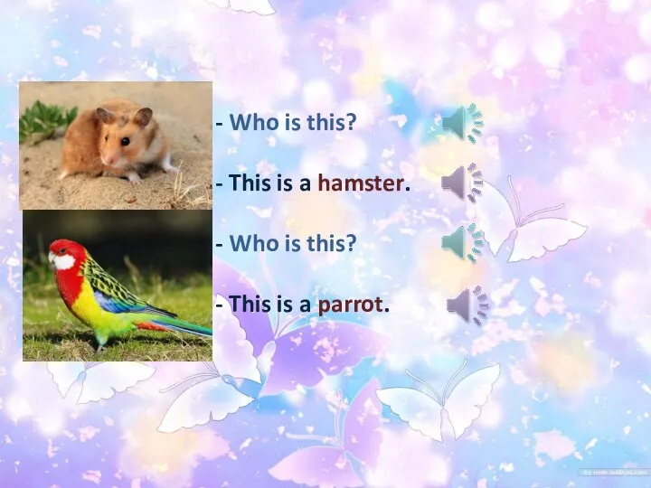 - Who is this? - This is a hamster. - Who is