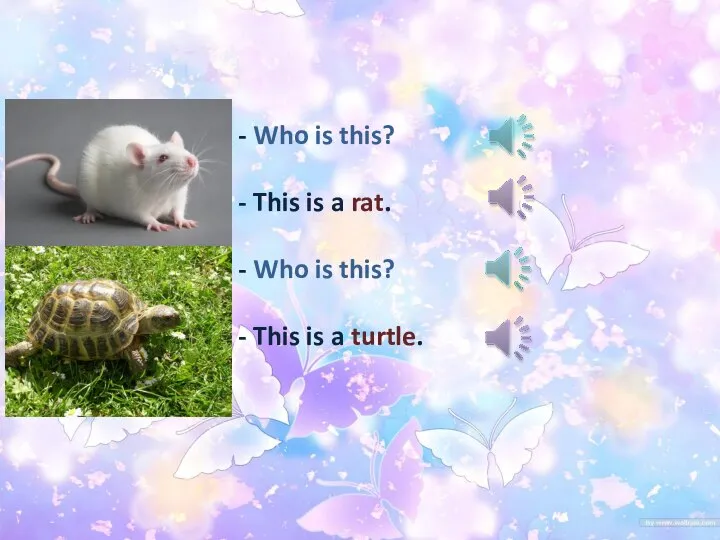 - Who is this? - This is a rat. - Who is