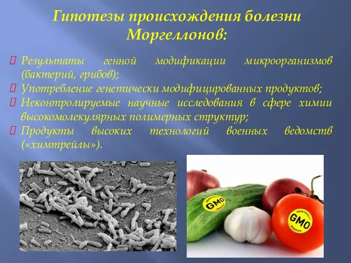 Гипотезы происхождения болезни Моргеллонов: Результаты генной модификации микроорганизмов (бактерий, грибов); Употребление генетически