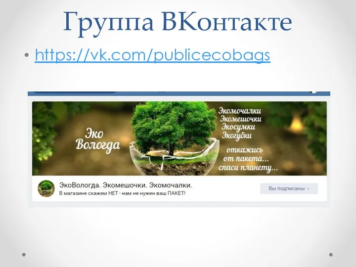 Группа ВКонтакте https://vk.com/publicecobags