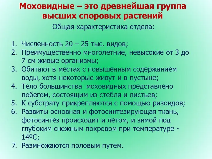 Моховидные – это древнейшая группа высших споровых растений Общая характеристика отдела: Численность