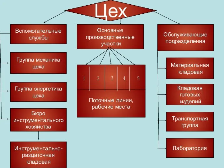 Цех Основные производственные участки Материальная кладовая Поточные линии, рабочие места Инструментально- раздаточная