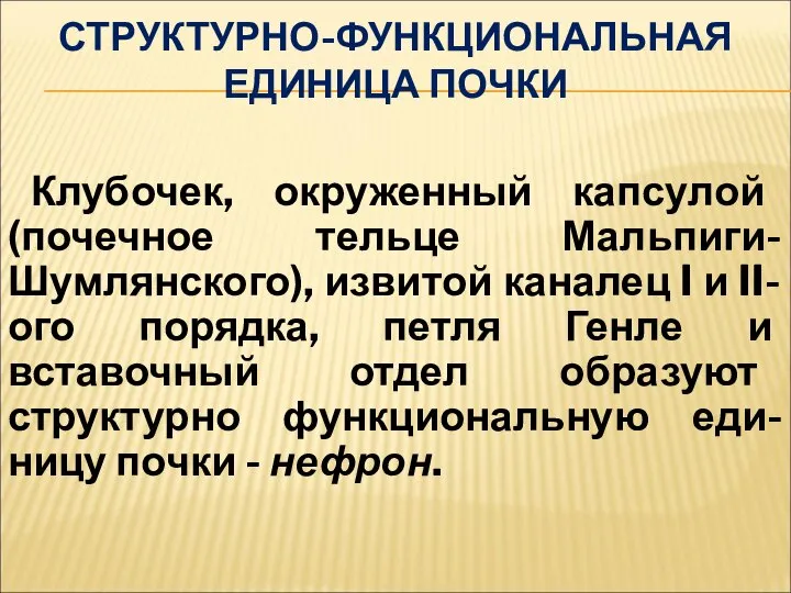 СТРУКТУРНО-ФУНКЦИОНАЛЬНАЯ ЕДИНИЦА ПОЧКИ Клубочек, окруженный капсулой (почечное тельце Мальпиги-Шумлянского), извитой каналец I