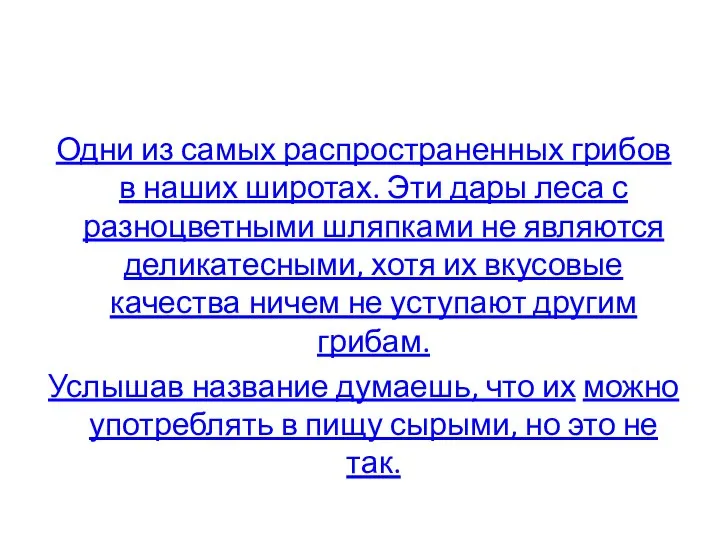 Одни из самых распространенных грибов в наших широтах. Эти дары леса с