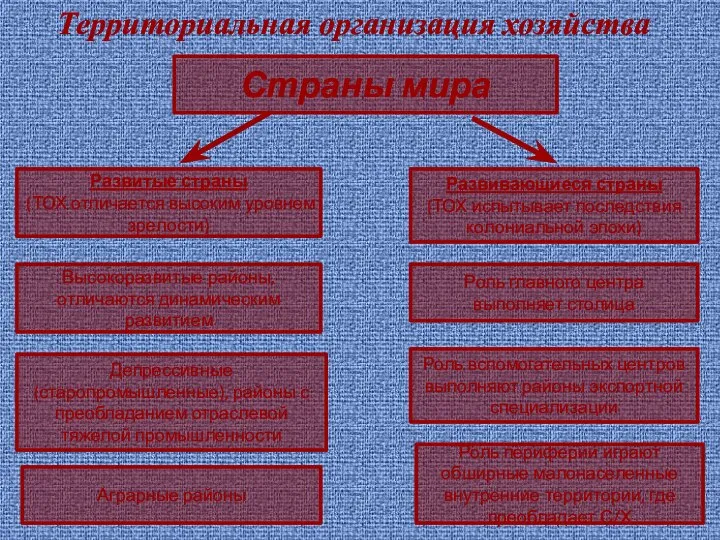 Территориальная организация хозяйства Страны мира Высокоразвитые районы, отличаются динамическим развитием Роль вспомогательных