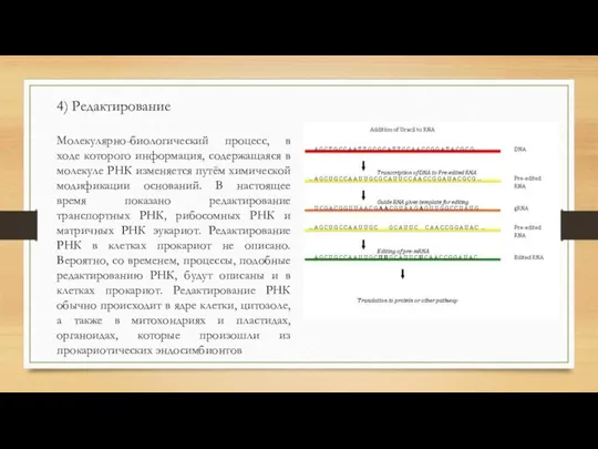 4) Редактирование Молекулярно-биологический процесс, в ходе которого информация, содержащаяся в молекуле РНК