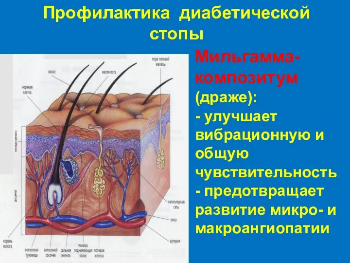 Профилактика диабетической стопы Мильгамма-композитум (драже): - улучшает вибрационную и общую чувствительность -