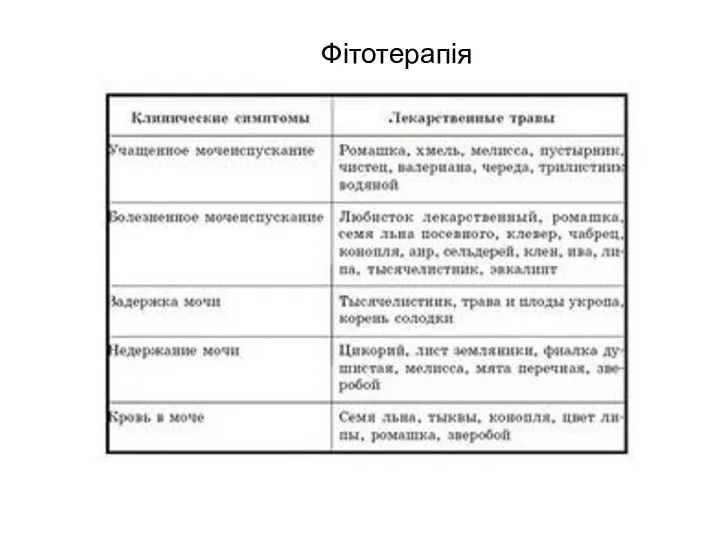 Фітотерапія