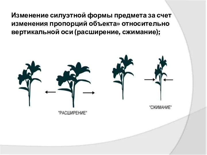 Изменение силуэтной формы предмета за счет изменения пропорций объекта» относительно вертикальной оси (расширение, сжимание);