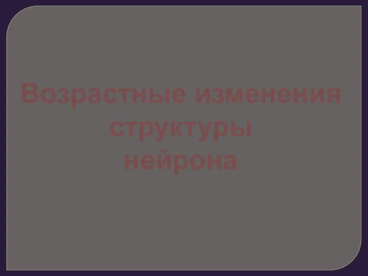 Возрастные изменения структуры нейрона