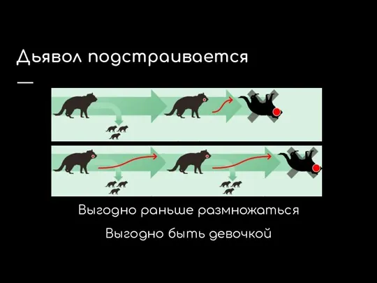 Дьявол подстраивается Выгодно раньше размножаться Выгодно быть девочкой