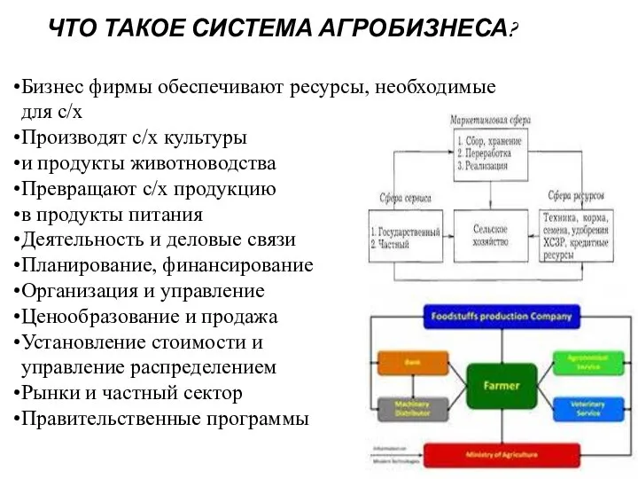 ЧТО ТАКОЕ СИСТЕМА АГРОБИЗНЕСА? Бизнес фирмы обеспечивают ресурсы, необходимые для с/х Производят