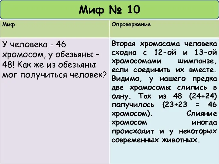 Миф № 10