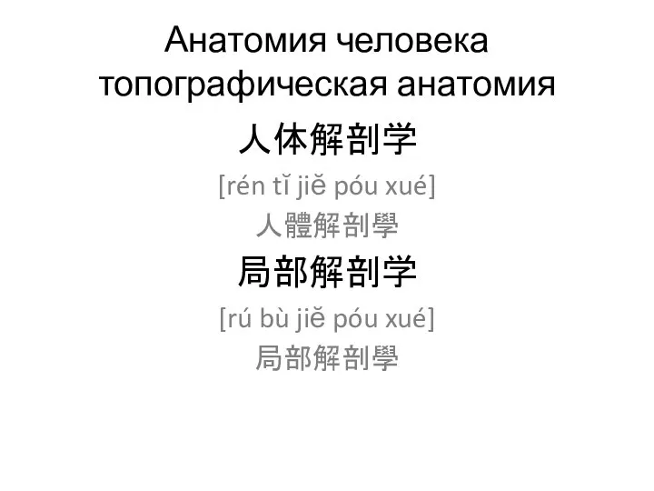 Анатомия человека топографическая анатомия 人体解剖学 [rén tĭ jiĕ póu xué] 人體解剖學 局部解剖学