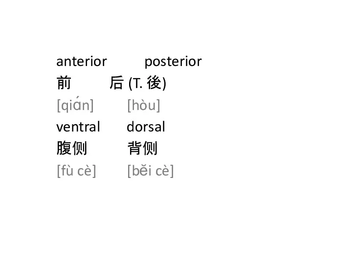 anterior posterior 前 后 (T. 後) [qiɑ́n] [hòu] ventral dorsal 腹侧 背侧 [fù cè] [bĕi cè]