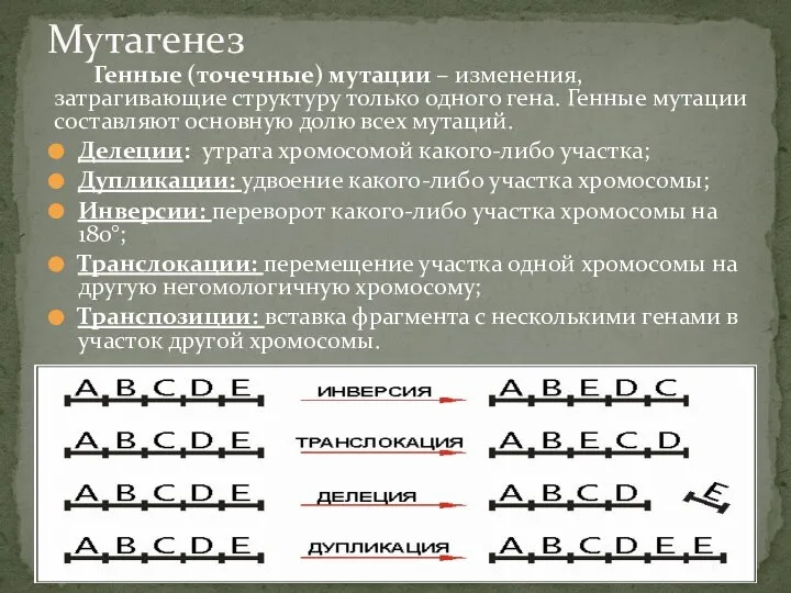 Генные (точечные) мутации – изменения, затрагивающие структуру только одного гена. Генные мутации