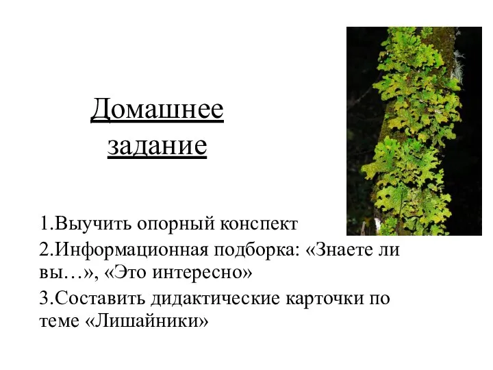 Домашнее задание 1.Выучить опорный конспект 2.Информационная подборка: «Знаете ли вы…», «Это интересно»