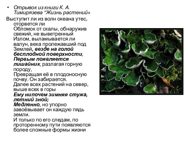 Отрывок из книги К. А. Тимирязева “Жизнь растений» Выступит ли из волн
