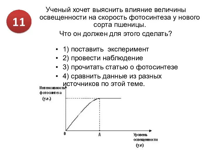 Ученый хочет выяснить влияние величины освещенности на скорость фотосинтеза у нового сорта